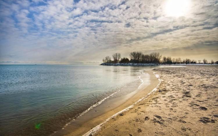 Basement Apartment In Luxury Beach House Toronto Exteriör bild