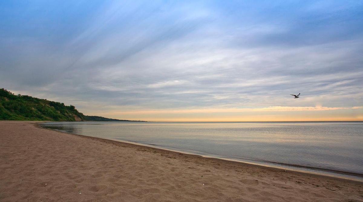 Basement Apartment In Luxury Beach House Toronto Exteriör bild